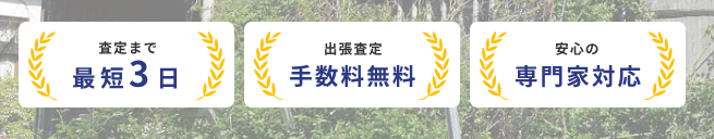 ブリリアント,査定,特徴